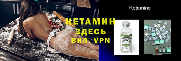 СК Новозыбков